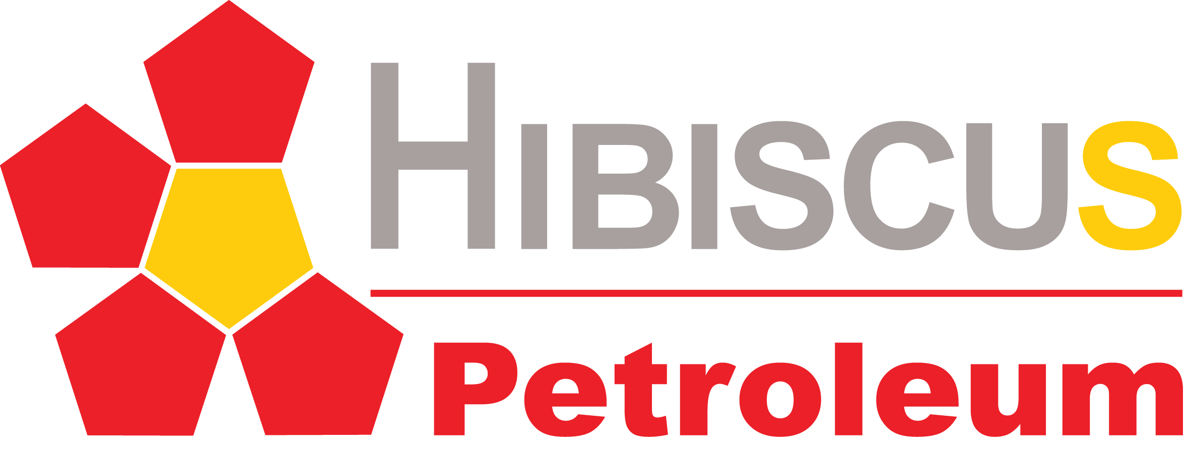 Hibiscus share price